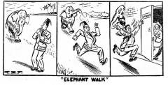 ELEPHANT WALK - The Times of Ceylon of 7-2-1953