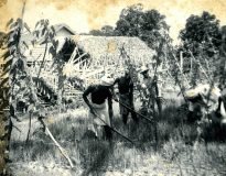 Workers at Chengatpadai farm in 1943
