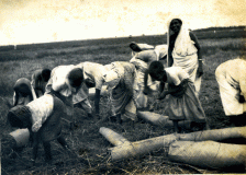 Workers at Chengatpadai Farm in 1943.