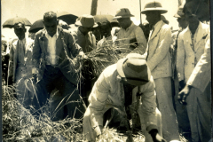 D.S. Senanayake at Harvest Festival at Chengatpadai farm in 1943