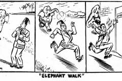 ELEPHANT WALK - The Times of Ceylon of 7-2-1953