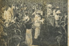 Azeez and others at Chengatpadai Farm