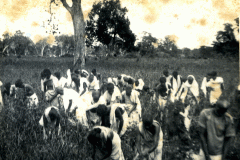 Workers at Chengatpadai Farm in 1943.